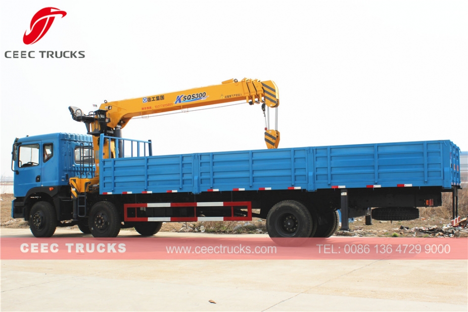 Telescopic 12T mobile boom crane trucks Dongfeng