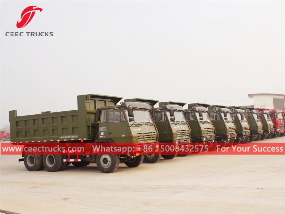 Camión Volquete 6x4 SHACMAN